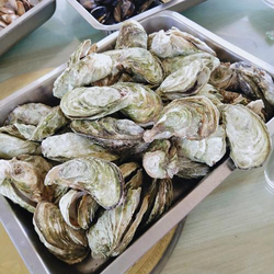 操逼动态图120秒专区